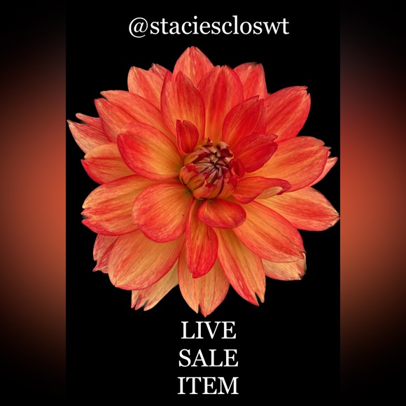 CONGRATULATIONS 🎉 U WON!  🥳🥳🎉🎉💕💕THANK YOU🤗🤗 - Picture 9 of 9